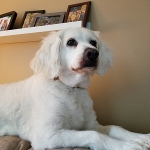 Fundraising Page: Donna Johnston PAC Alum